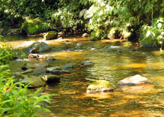 Ecolodge El Puente