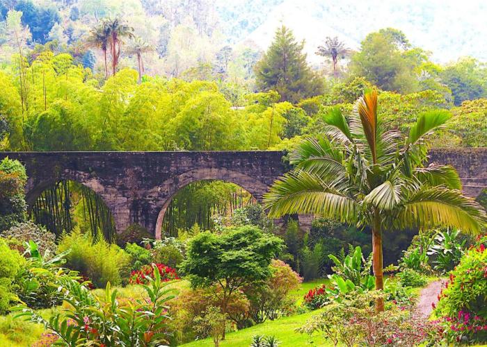 Ecolodge El Puente