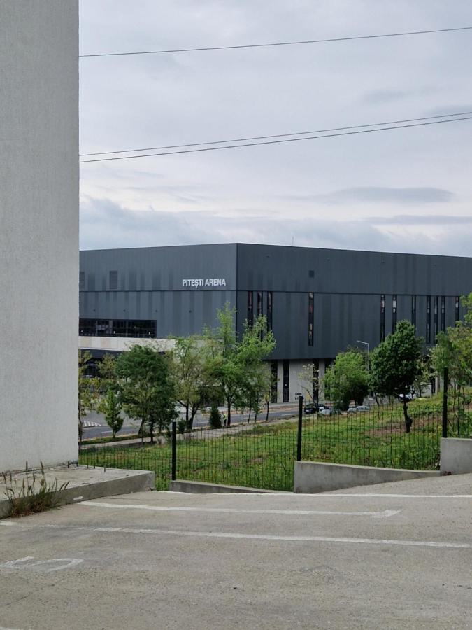 фото Arena Studio