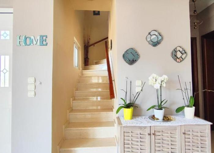 Sophia's Ηouse