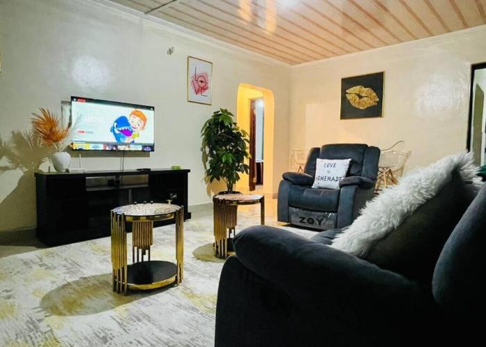 Apartment Mancave
