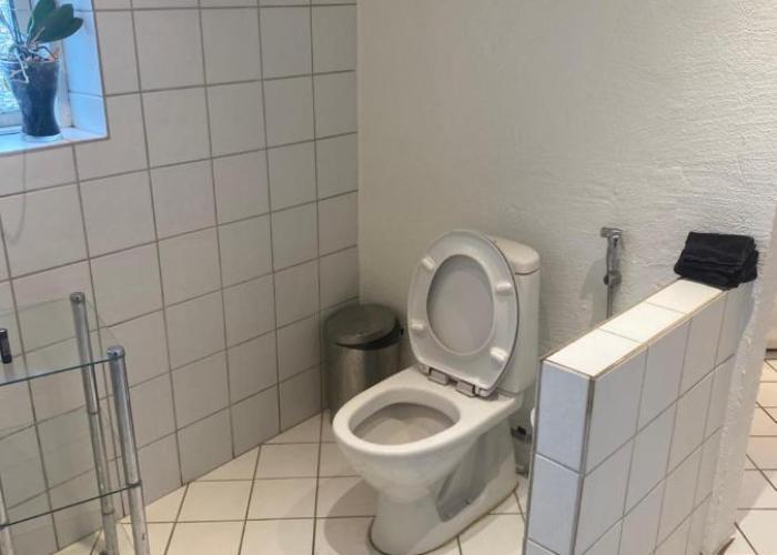 Nedlagt Landbrug med 3 lejligheder