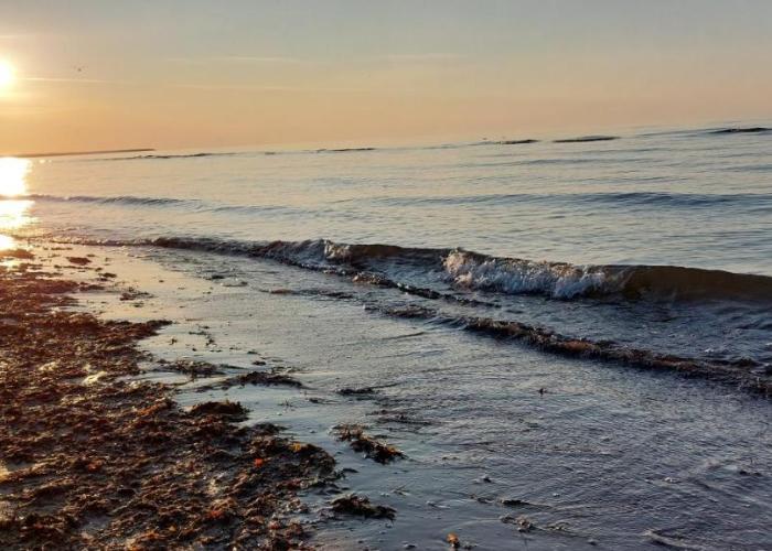 Sunny amber coast
