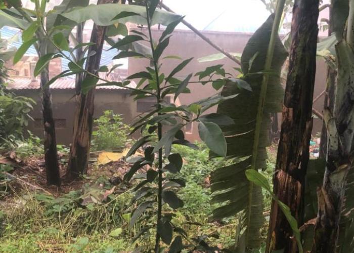 Gorilla Homestay Kabale