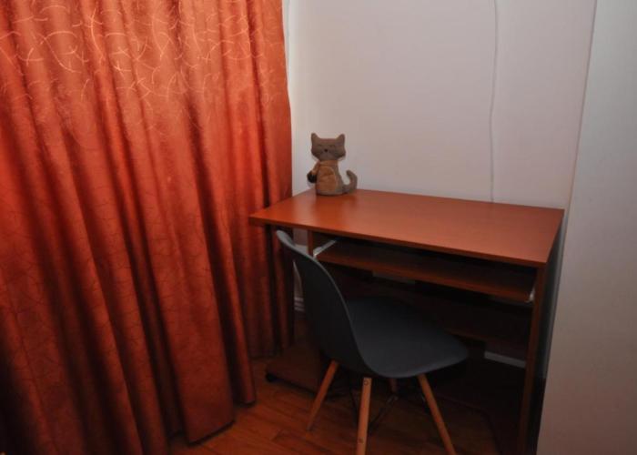 Lara Studio Craiovei