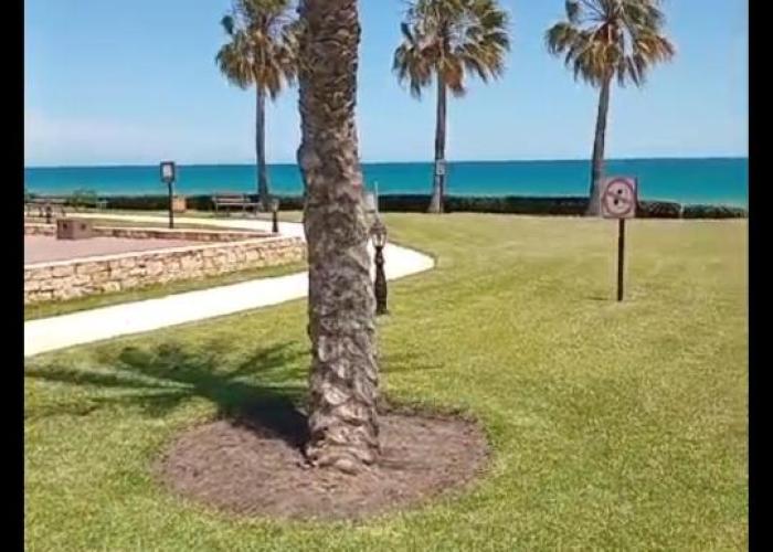 Beautiful apartament the beach marina 1