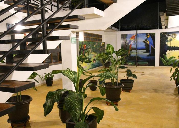 Cruz Roja - Turismo Solimões
