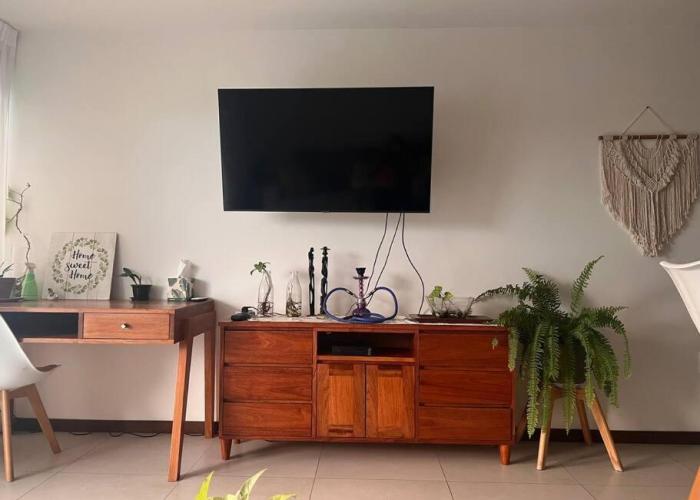 1-Bedroom Green Oasis
