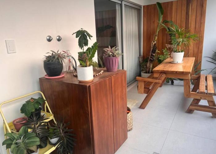 1-Bedroom Green Oasis