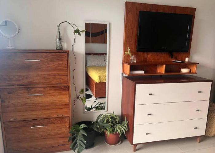 1-Bedroom Green Oasis