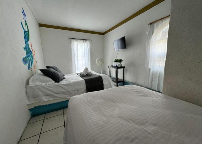 Hotel El Mexicano Tepic Centro