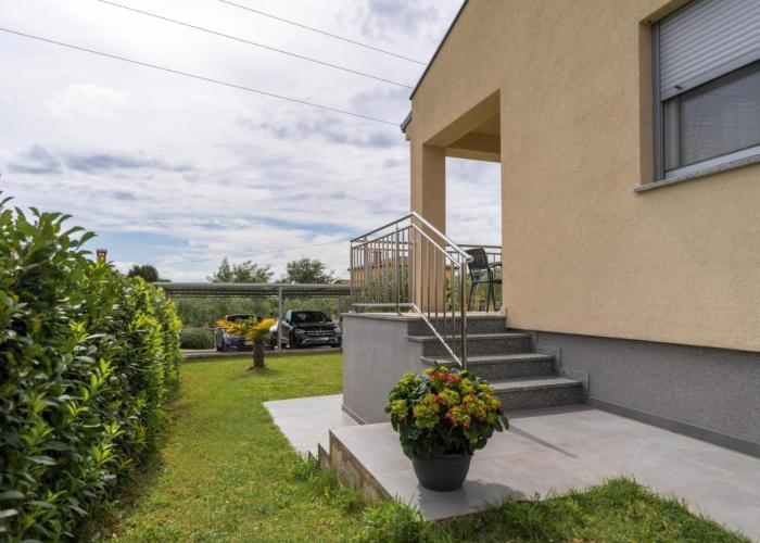 Dani's Place