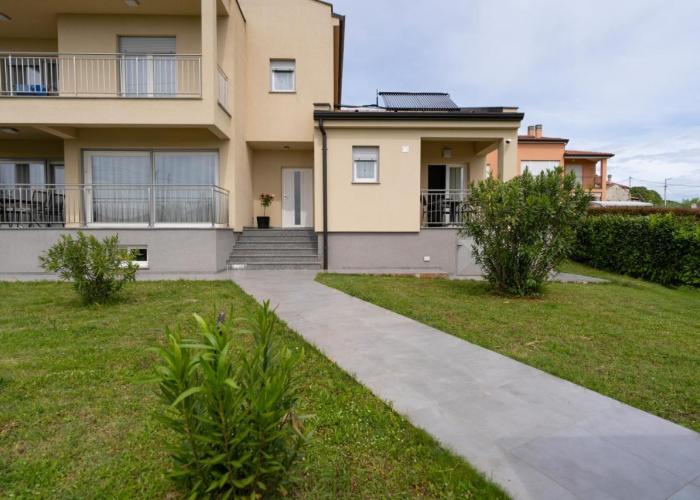 Dani's Place