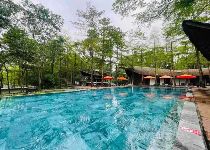 Dai Lai Resort- Forest Villa