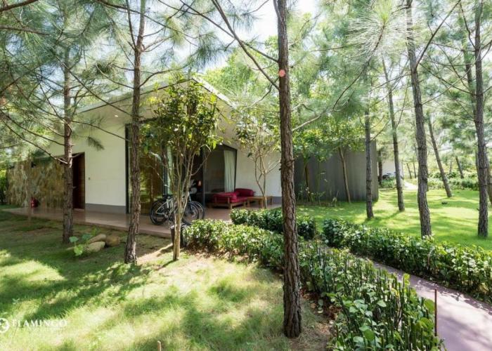 Dai Lai Resort- Forest Villa