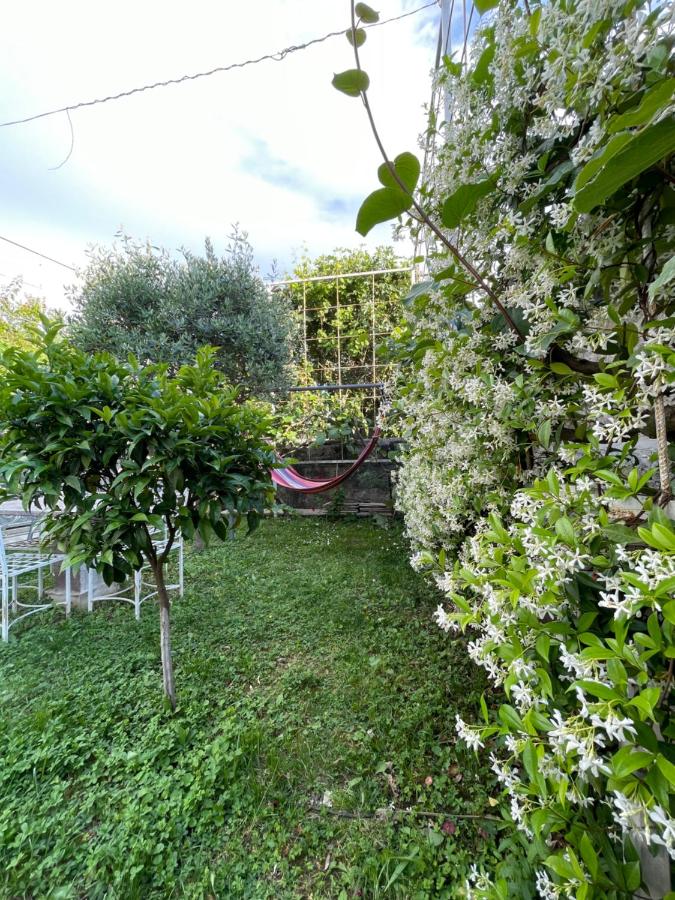 фото Vila Nela