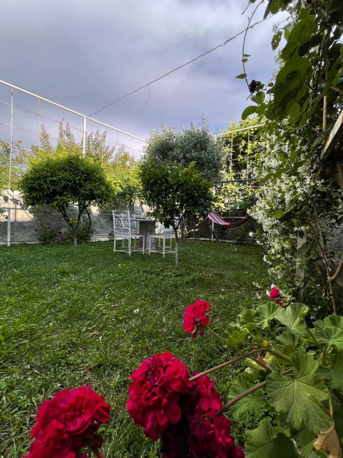 фото Vila Nela
