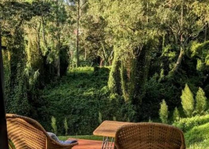 Roca Lodge