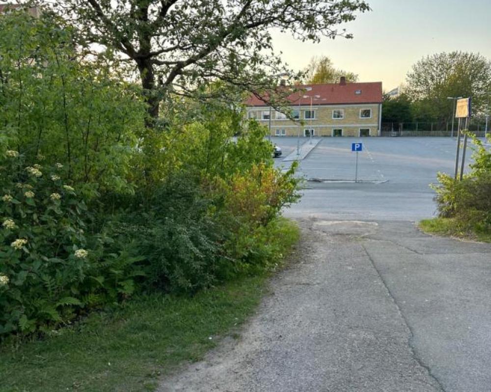 фото Mellerum på Österlen