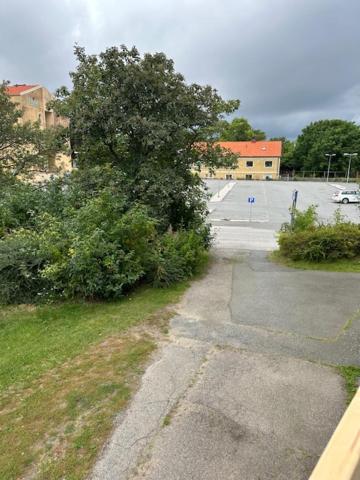 фото Mellerum på Österlen