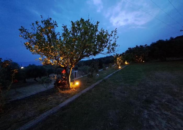 Holiday homes rizoma