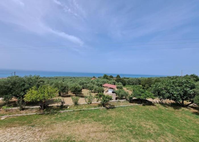 Holiday homes rizoma