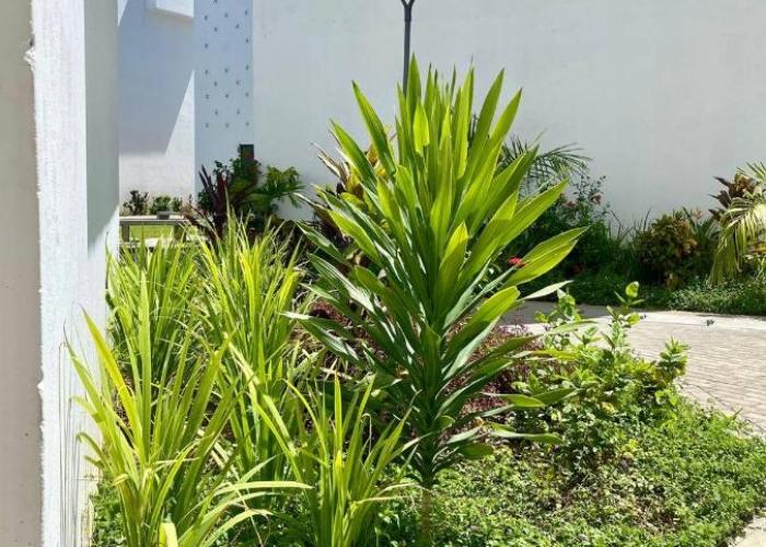 Imali homes