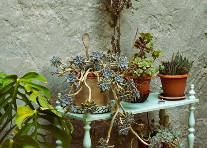 Apartment Ninetta