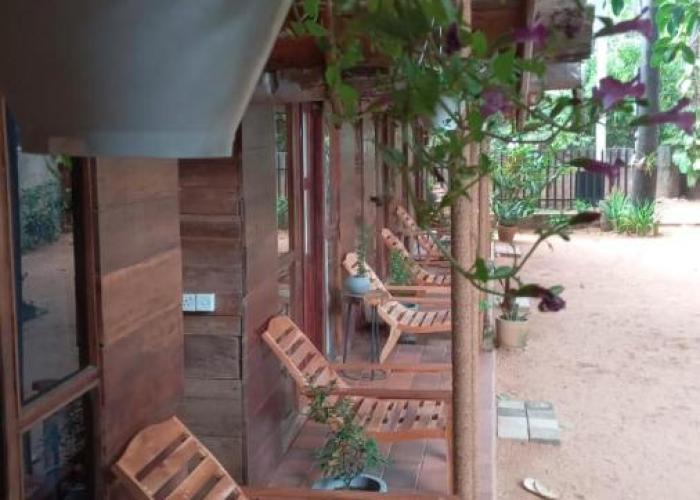 Cool Banyan Cabana