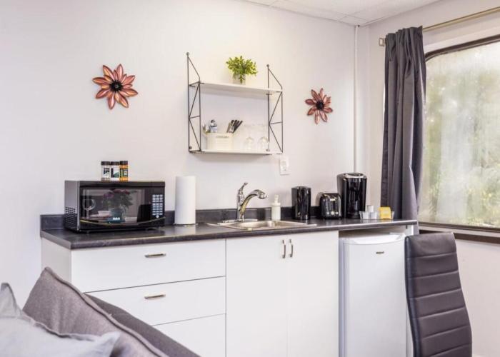 Modern 1BR Condo - Chinatown Near Little Italy