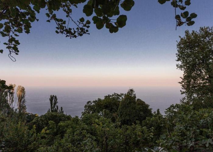 MELI Sea-view Cottage
