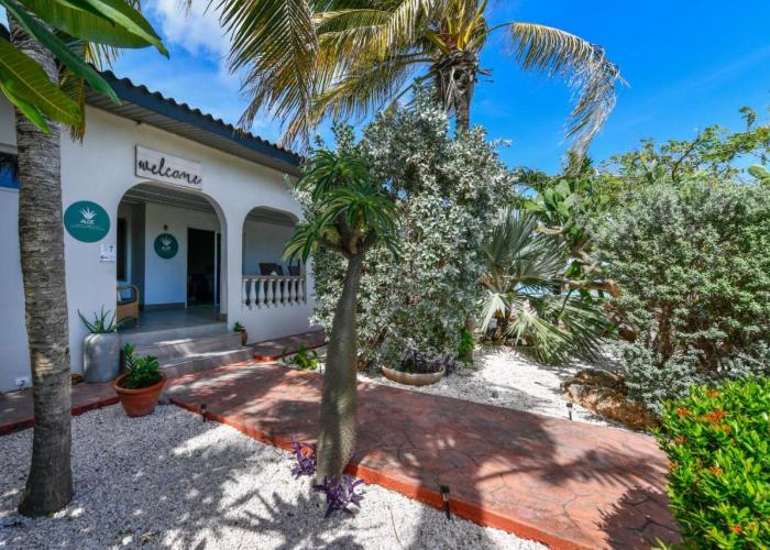 Aloe B&B