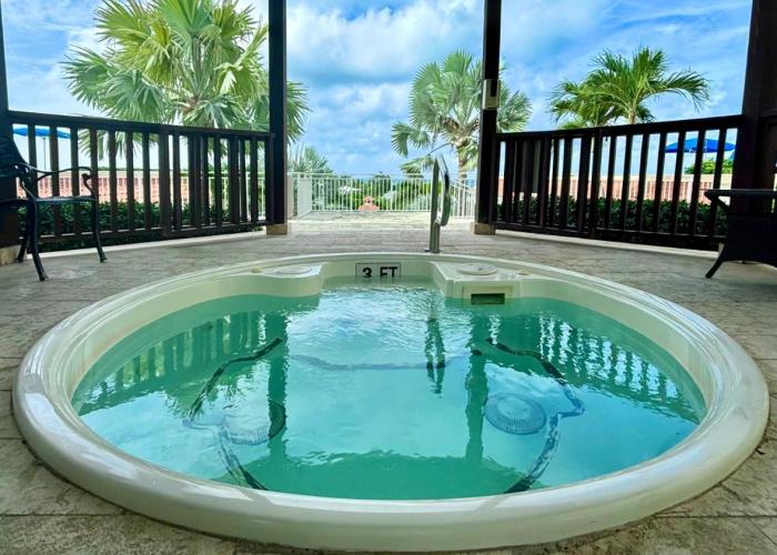 Extra spacious oceanview condo 5 min from pristine beach