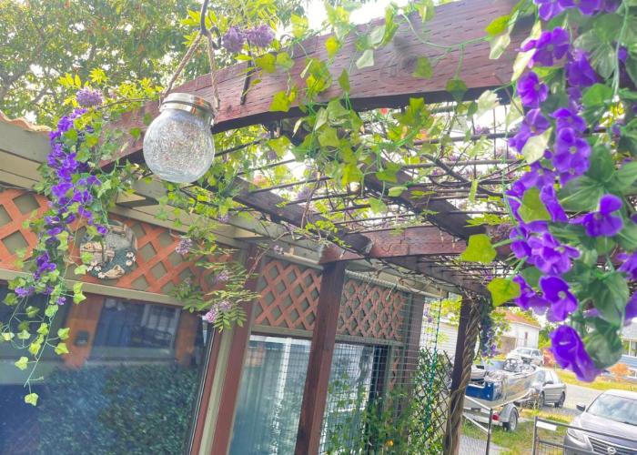 Brookside Falls Guesthouse