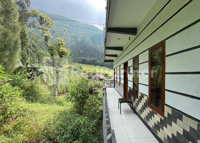 Family Homestay Syariah Bromo Mitra RedDoorz