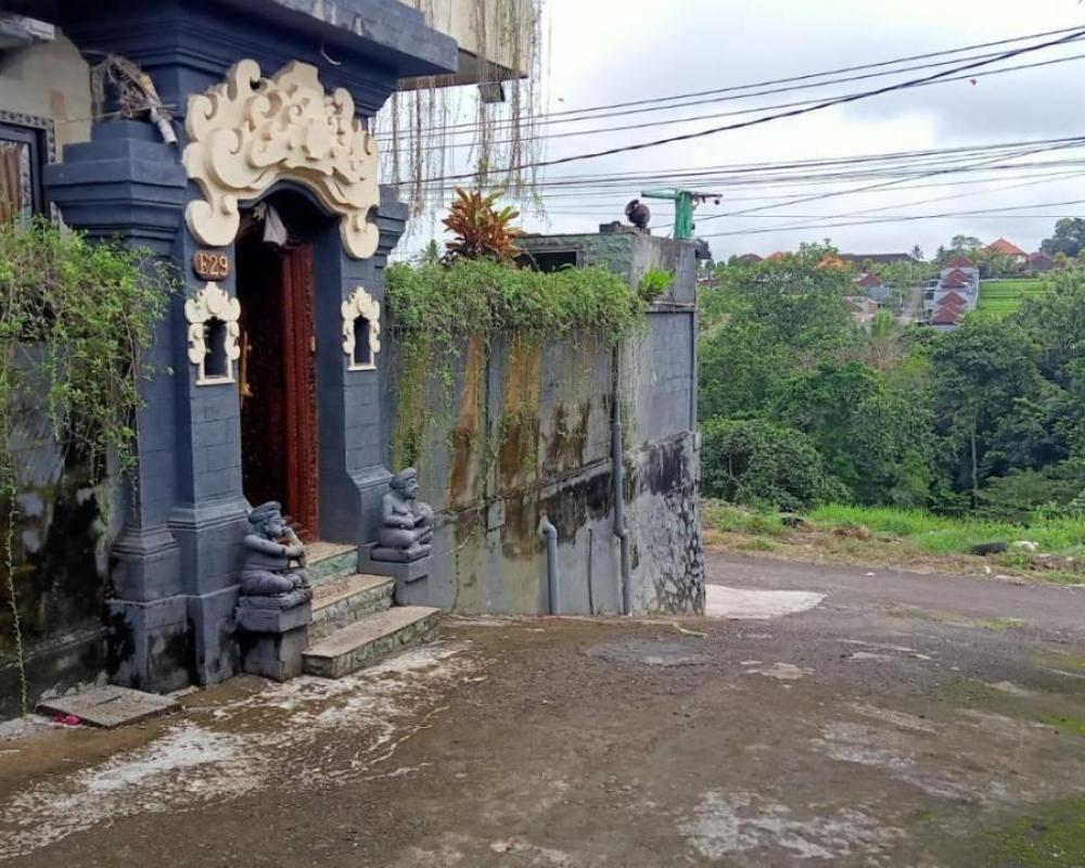 фото Villa Army Tabanan