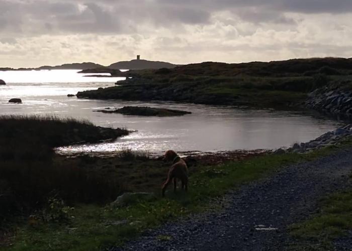 Entire Coastal Home in Connemara Ireland