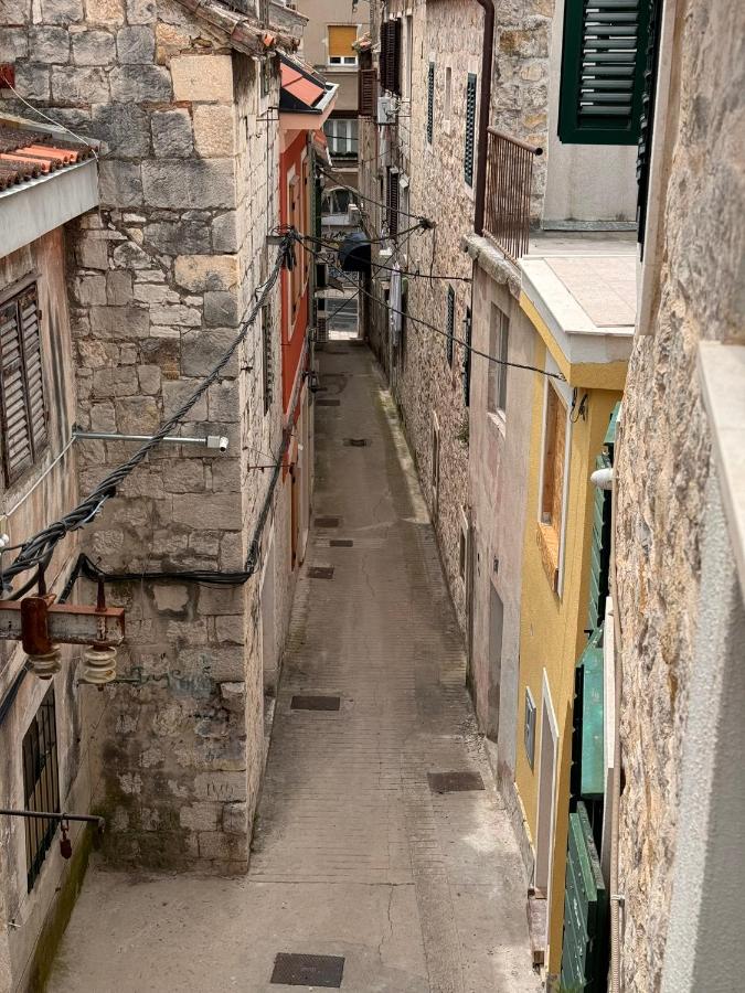 фото Vila Tara