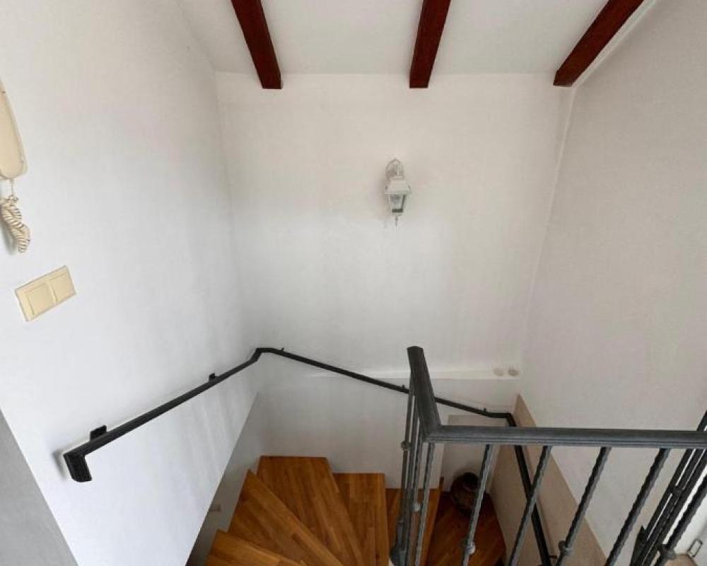 фото Vila Tara