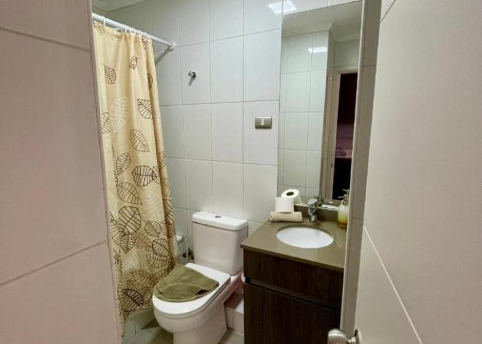 Dpto Estudio Ginebra SW