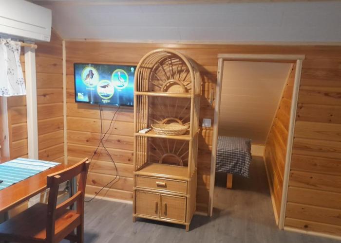 penthouse casinonsaari