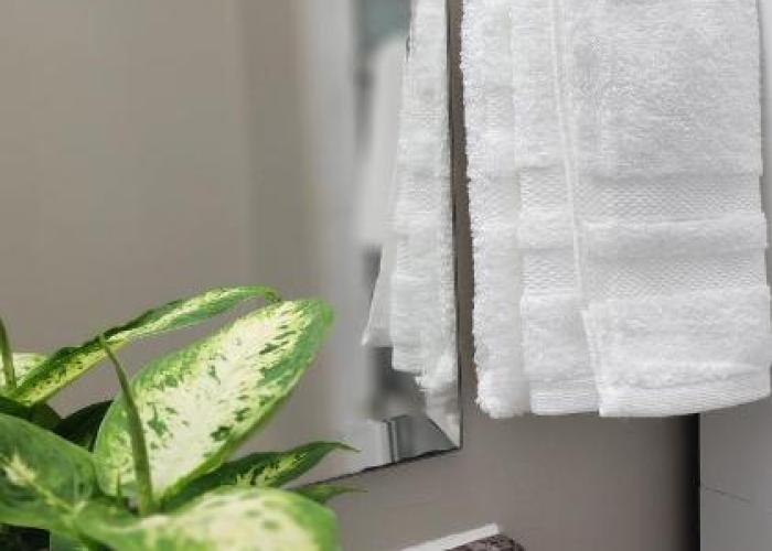 Cozy Comfort rooms in Nanaimo