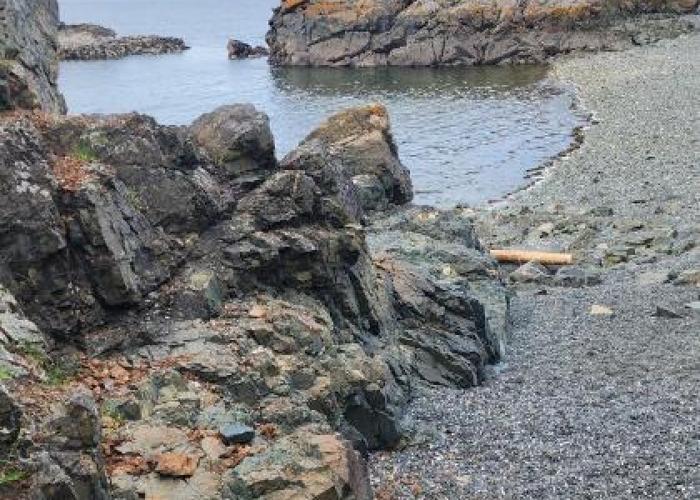 Cozy Comfort rooms in Nanaimo