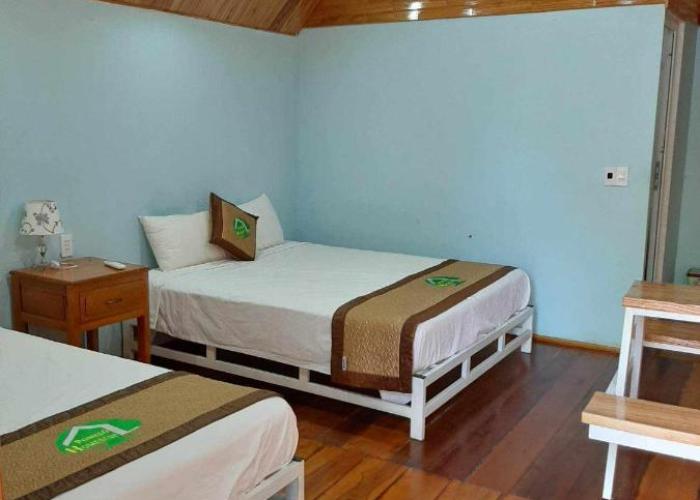 POMELO HOMESTAY Phong Nha