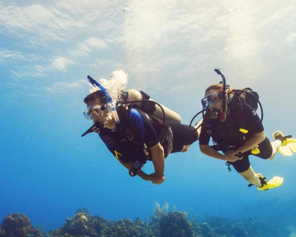 фото Diver's Den