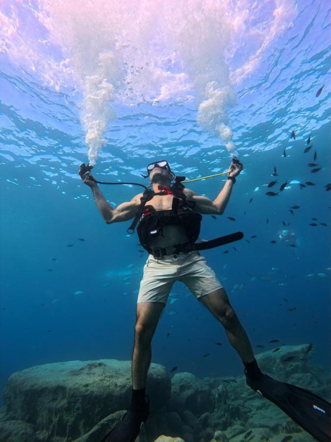 фото Diver's Den