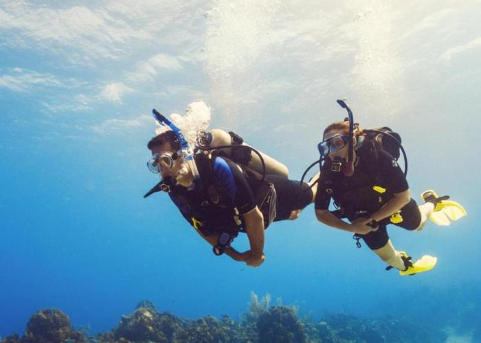 Diver's Den