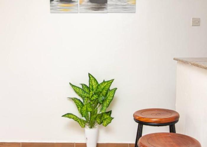 CynRose Suites