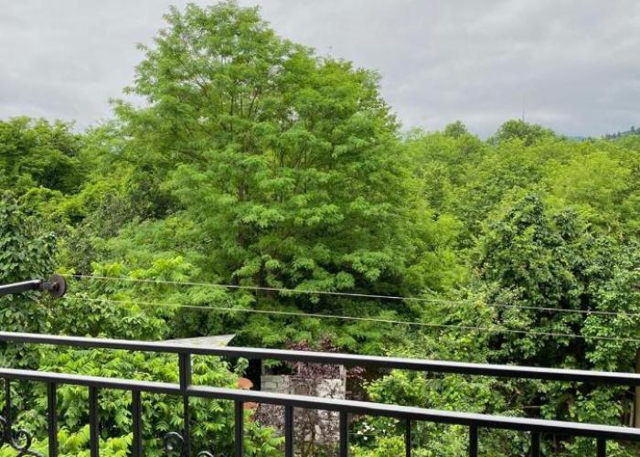 Ameli Apartments BTM