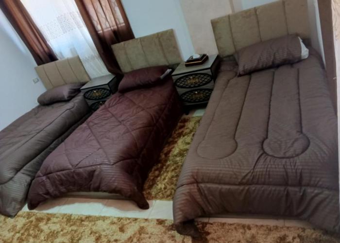 منزل برج ايفل
